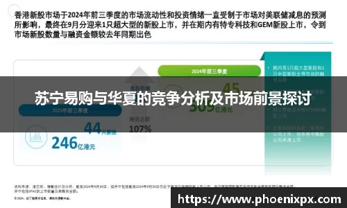 苏宁易购与华夏的竞争分析及市场前景探讨